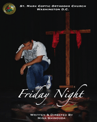 Friday Night - DVD
