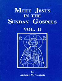 Meet Jesus in the Sunday Gospels V2