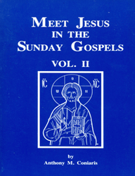 Meet Jesus in the Sunday Gospels V2