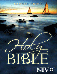 NIV Larger Print Bible